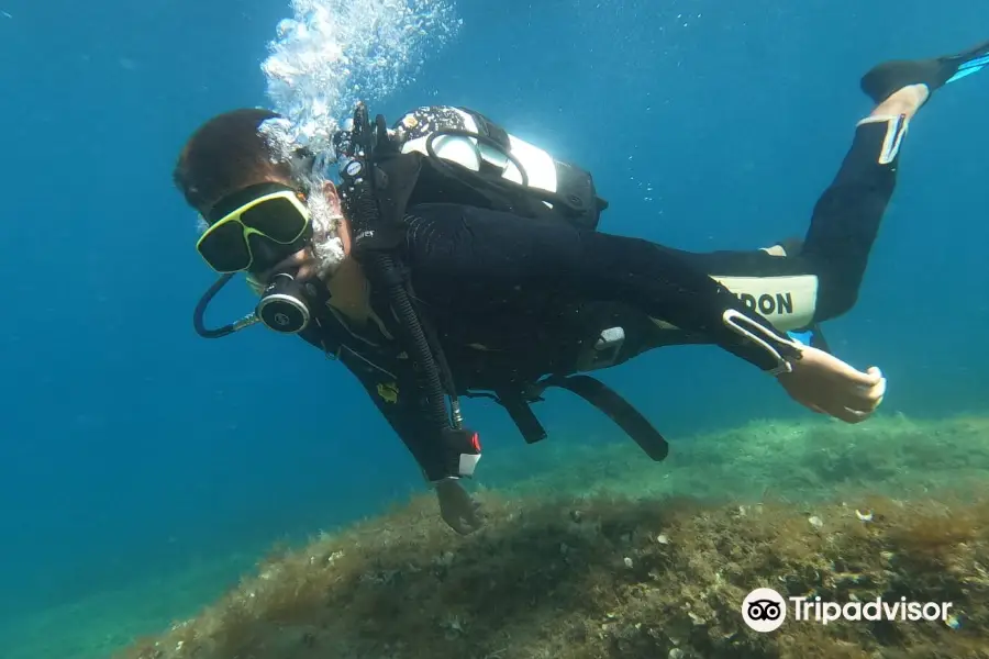 Fun Dive Club - Diving Croatia