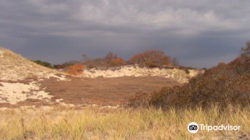 Sandy Neck Barrier Beach