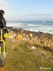Cycle Cape Point