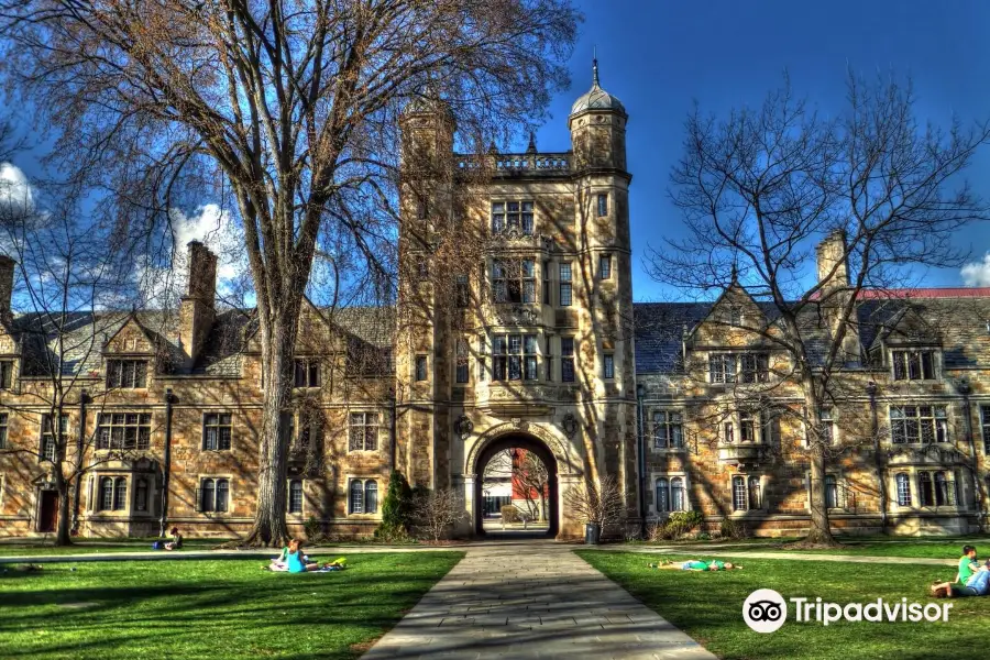 Università del Michigan