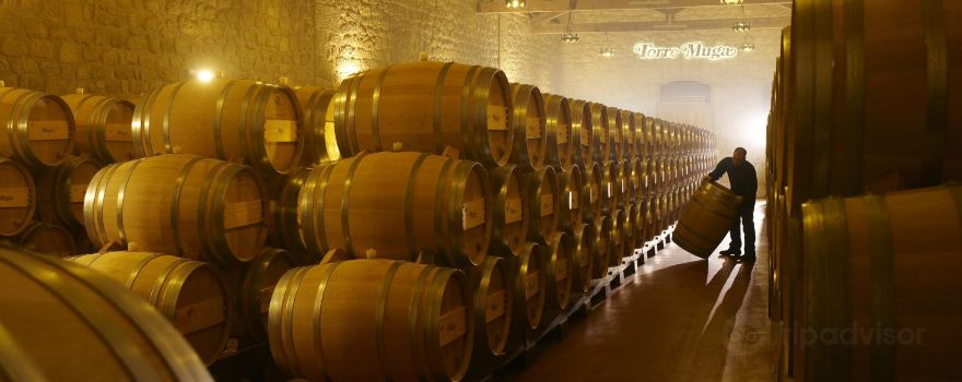 Bodegas Muga