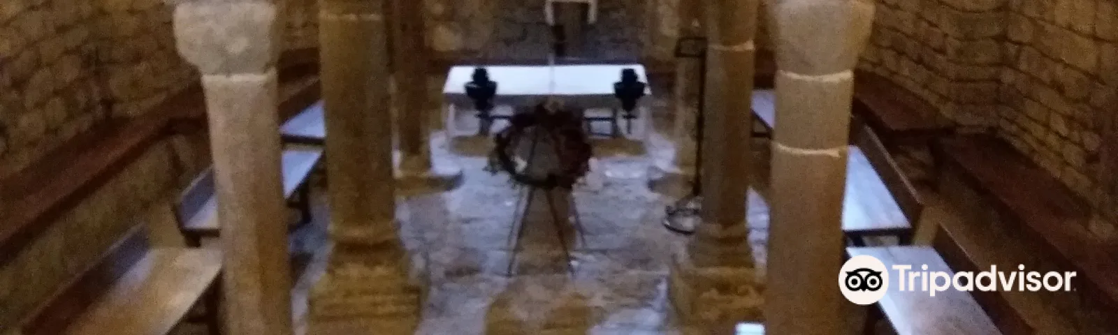 OliusTransport local