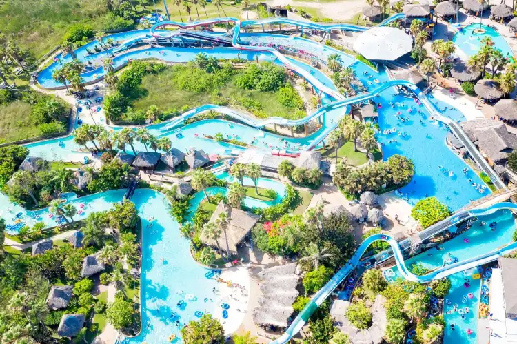Hotels near Sea Turtle, Inc.