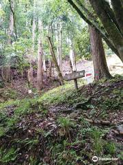 Arikoyama Castle Ruins