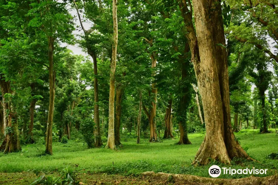 Makiling Botanic Gardens