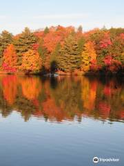 Oastler Lake Provincial Park