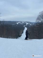 Jackson Creek Summit at Snowriver Mountain Resort