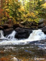 South Algonquin Trails