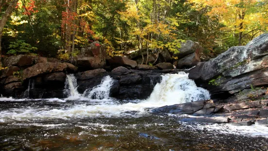 South Algonquin Trails