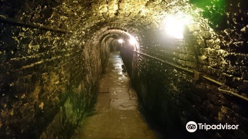 Historic Wine Cellar of the Strasbourg Hospices