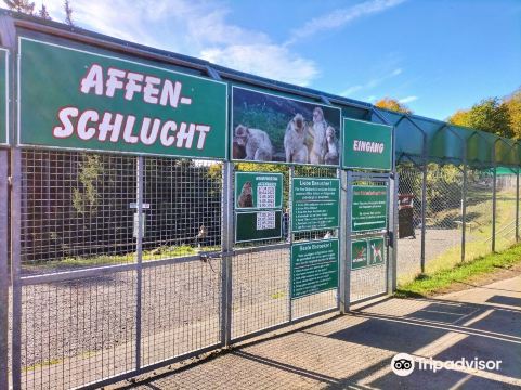 Wildlife and adventure park Daun