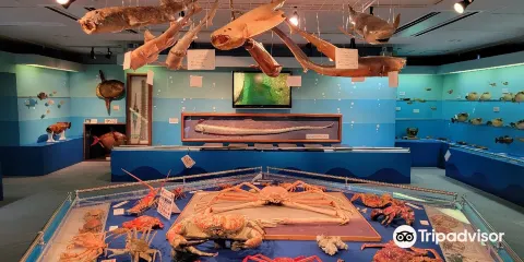 ジオパークと海の文化館