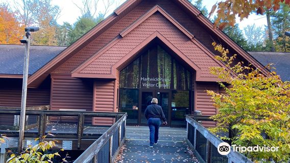 Hartwick Pines State Park