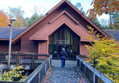 Hartwick Pines State Park