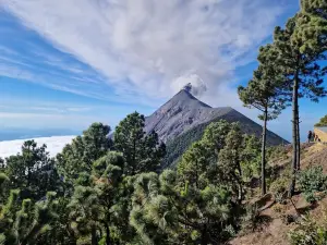 Fuego Volcano
