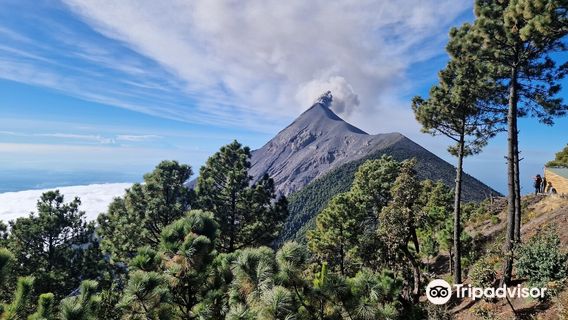 Fuego Volcano