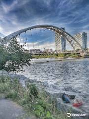 Humber Bay Arch Bridge