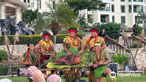 FIA FIA Polynesian Show