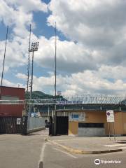 Stadio Comunale G. Sinigaglia