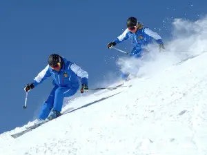 Italian Ski School ADAMELLO Brenta - Madonna di Campiglio