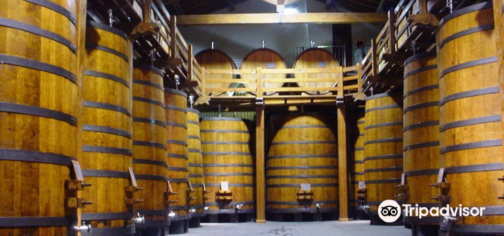 카스티글리오네디시칠리아데이 투어