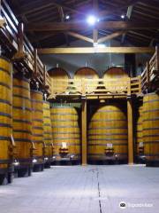 Winery Patria