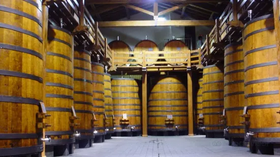 Winery Patria