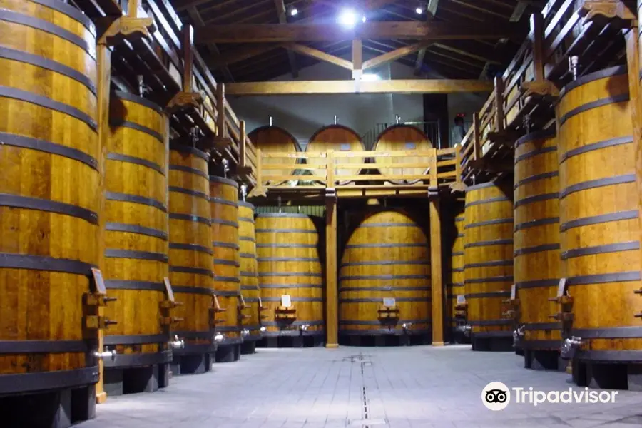 Winery Patria