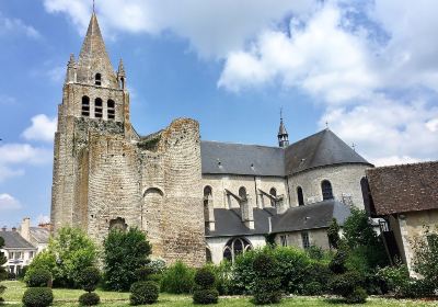 La Collégiale Saint-Liphard