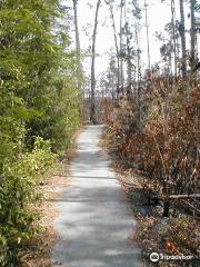 Gumbo Limbo Trail