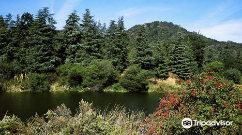 Franklin Canyon Park, Mountains Recreation & Conservation Authority