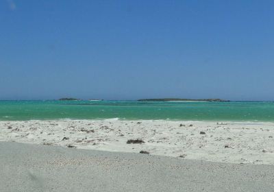 Tarcoola Beach