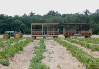 Wards Berry Farm