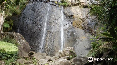 El Yunque National Forest