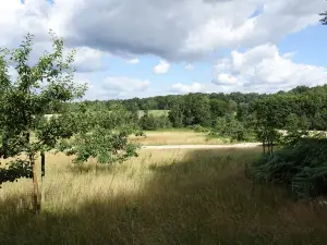 Barfusspark Lüneburger Heide