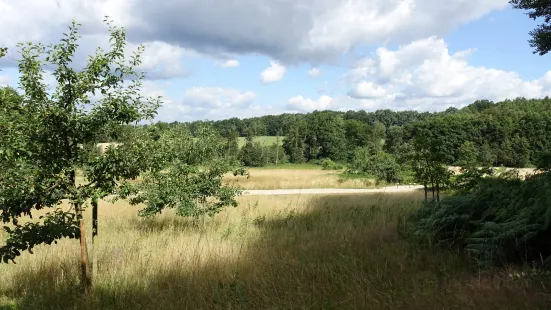 Barfusspark Lüneburger Heide