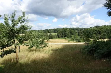 Egestorf