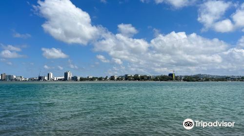 Maroochy River Conservation Park