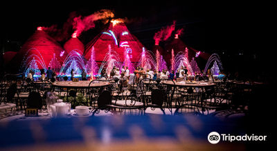Magic Dancing Waters Live Show