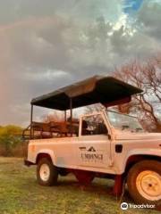 Umdingi Safaris