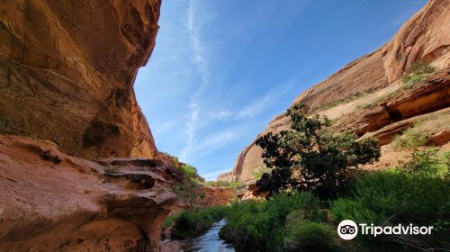 Grandstaff Canyon Trail