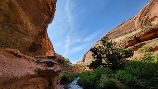 Grandstaff Canyon Trail