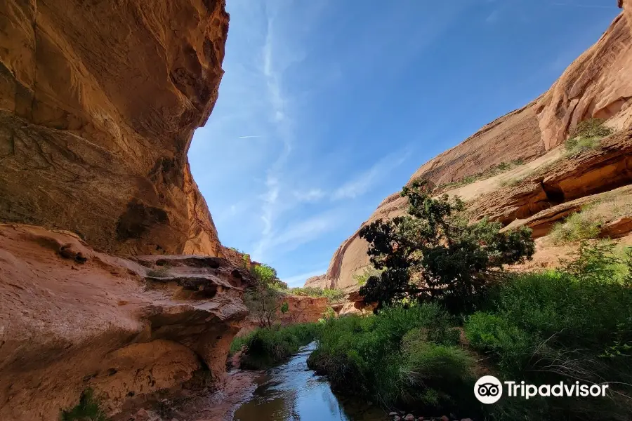 Grandstaff Canyon Trail