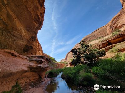 Grandstaff Canyon National Recreation Trail