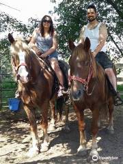 Red Ridge Riding Stable