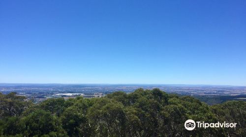 Mount Canobolas State Conservation Area