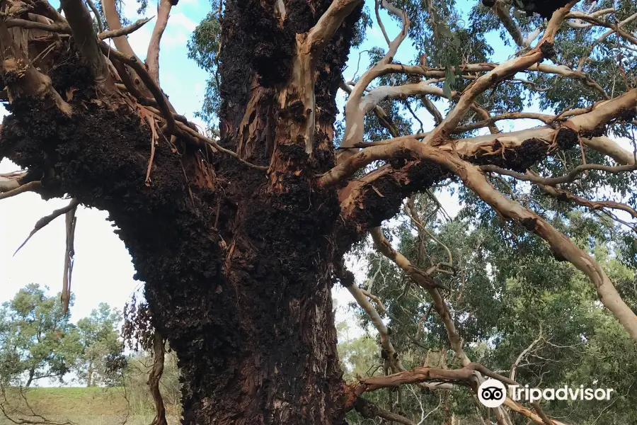 Bayles Fauna Reserve