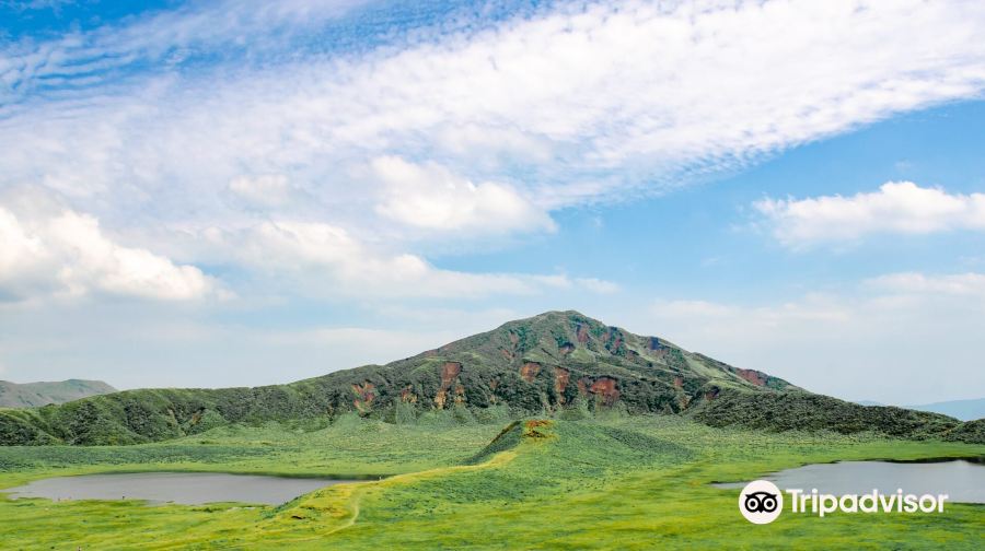 日本福岡+別府地獄+湯布院花卉村+海地獄+湯之坪街道+由布院温泉+金鱗湖一日遊