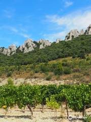 Veloz - Location de VTTAE - Dentelles de Montmirail