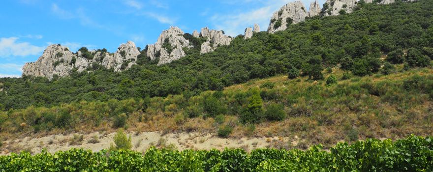 Veloz - Location de VTTAE - Dentelles de Montmirail